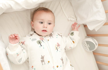 Biggie Smalls Winter Sleep Romper Biggie Smalls