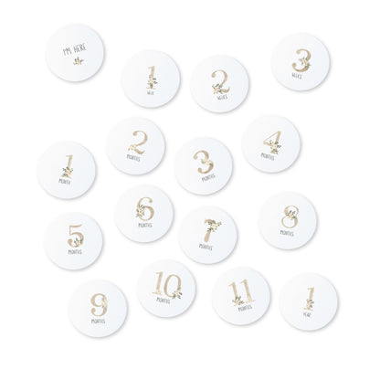Echo Baby Milestone Cards - Motherhood