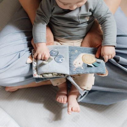 Little Dutch Buggy Book