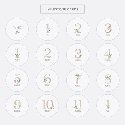 Echo Baby Milestone Cards - Motherhood
