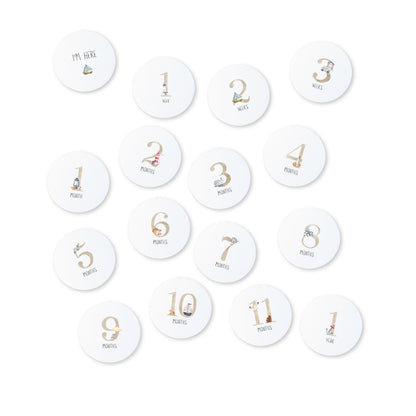 Echo Baby Milestone Cards - Motherhood