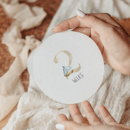 Echo Baby Milestone Cards - Motherhood