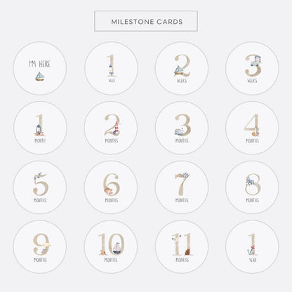 Echo Baby Milestone Cards - Motherhood