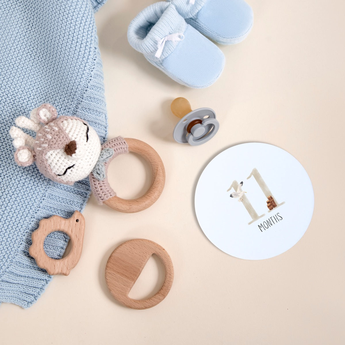 Echo Baby Milestone Cards