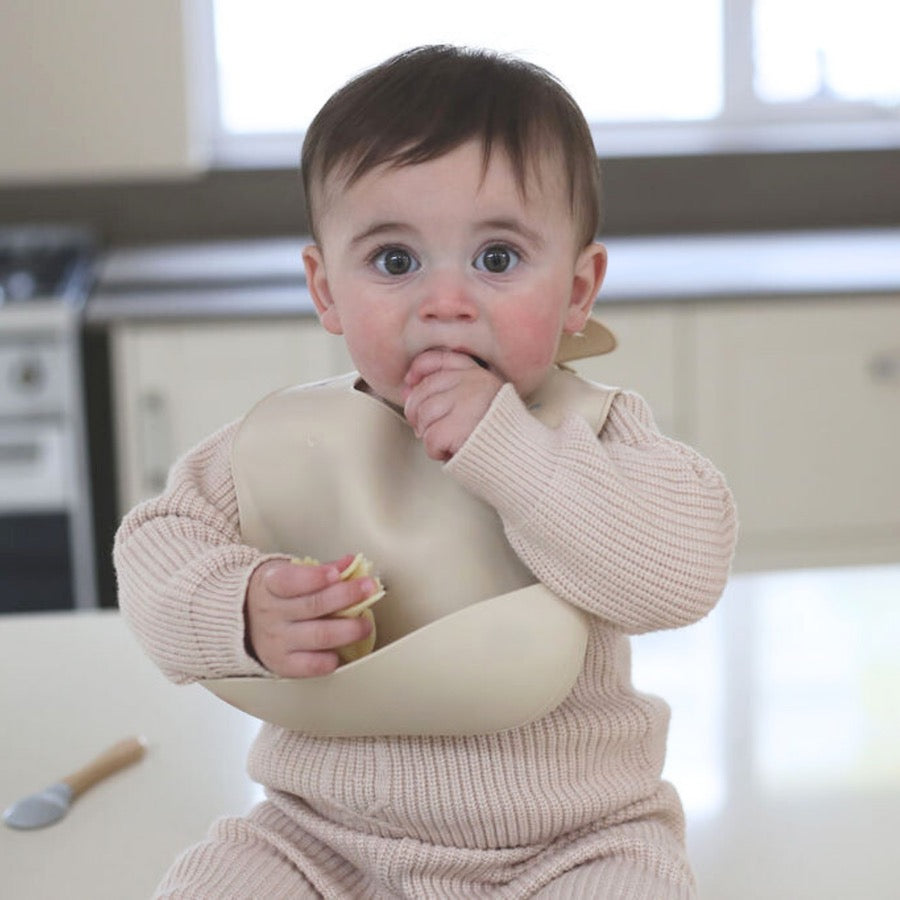 Echo Baby Silicone Baby Bib