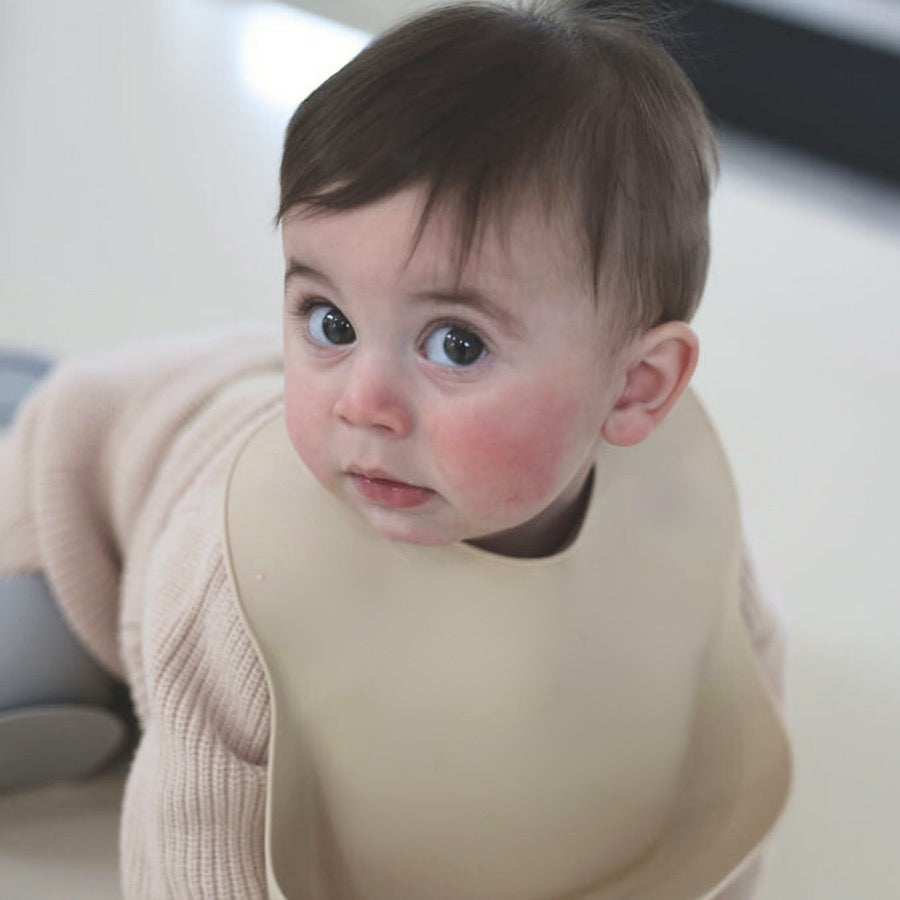 Echo Baby Silicone Baby Bib