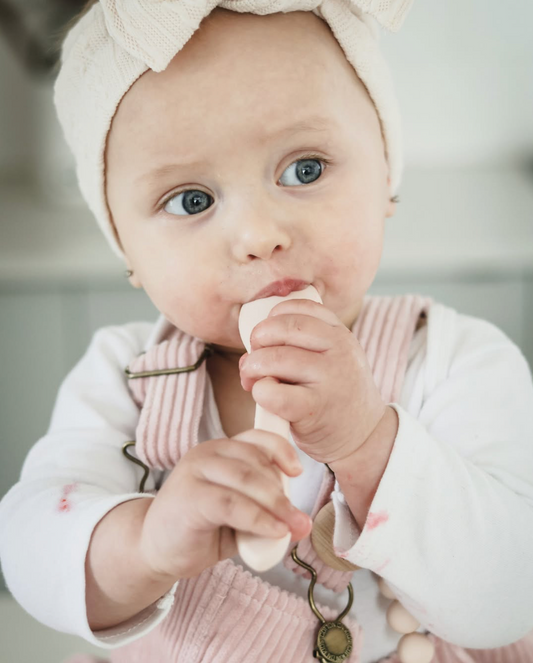 Echo Baby Silicone Feeding Spoons 2 Pack