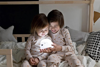 Björn Projector