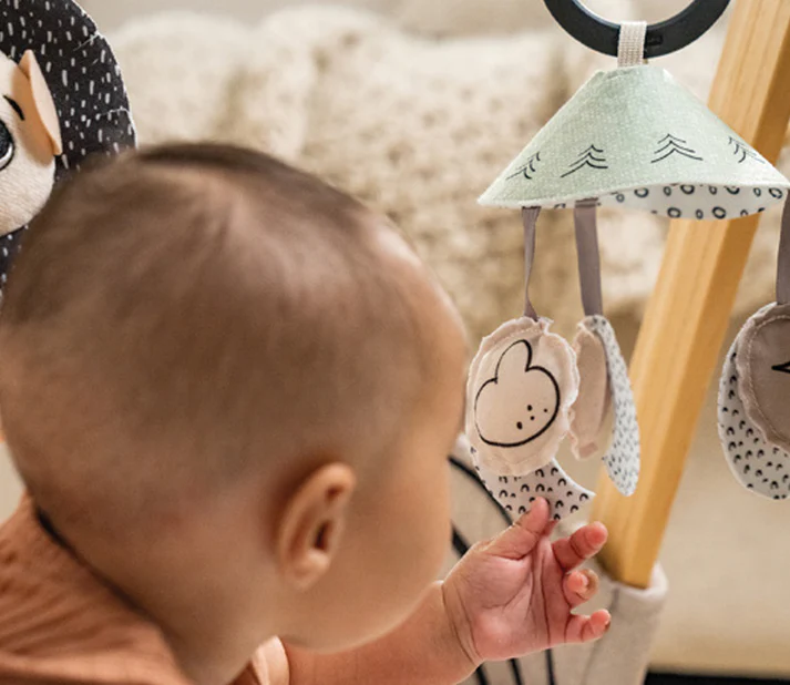 Tiny Love Black & White Décor Luxe Developmental Gymini®