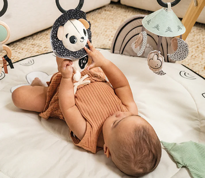 Tiny Love Black & White Décor Luxe Developmental Gymini®