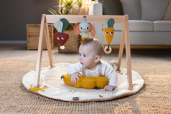Tiny Love Garden of Adventures Luxe Developmental Gymini®