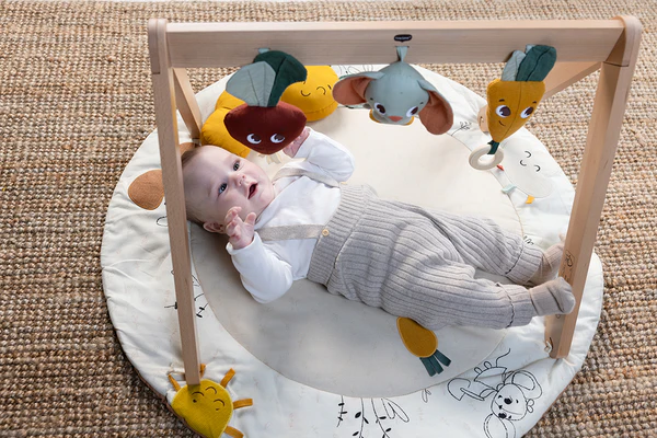 Tiny Love Garden of Adventures Luxe Developmental Gymini®