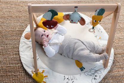 Tiny Love Garden of Adventures Luxe Developmental Gymini®