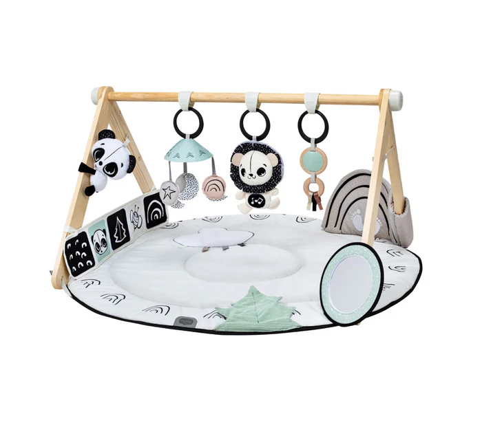 Tiny Love Black & White Décor Luxe Developmental Gymini®