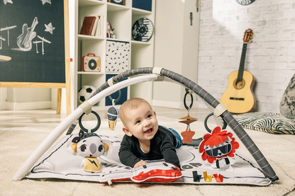 Tiny Love Tiny Rockers Rock With Me Gymini®