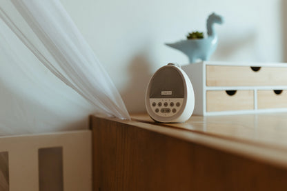 Biggie Smalls White Noise & Night Light Machine - Motherhood