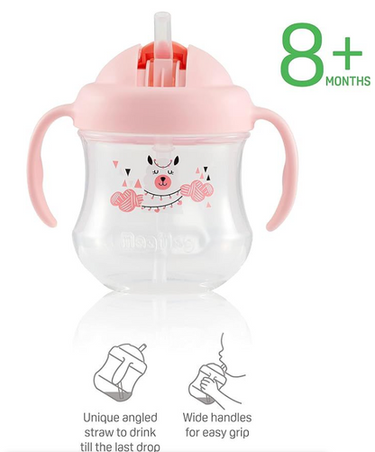Pigeon Mag Mag Straw Cup