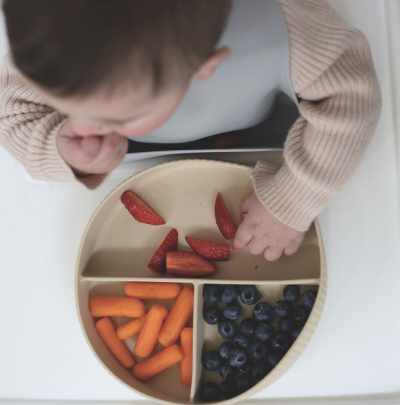 Echo Baby Silicone Suction Plate