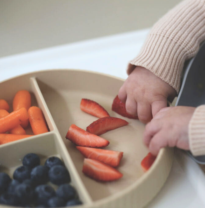 Echo Baby Silicone Suction Plate