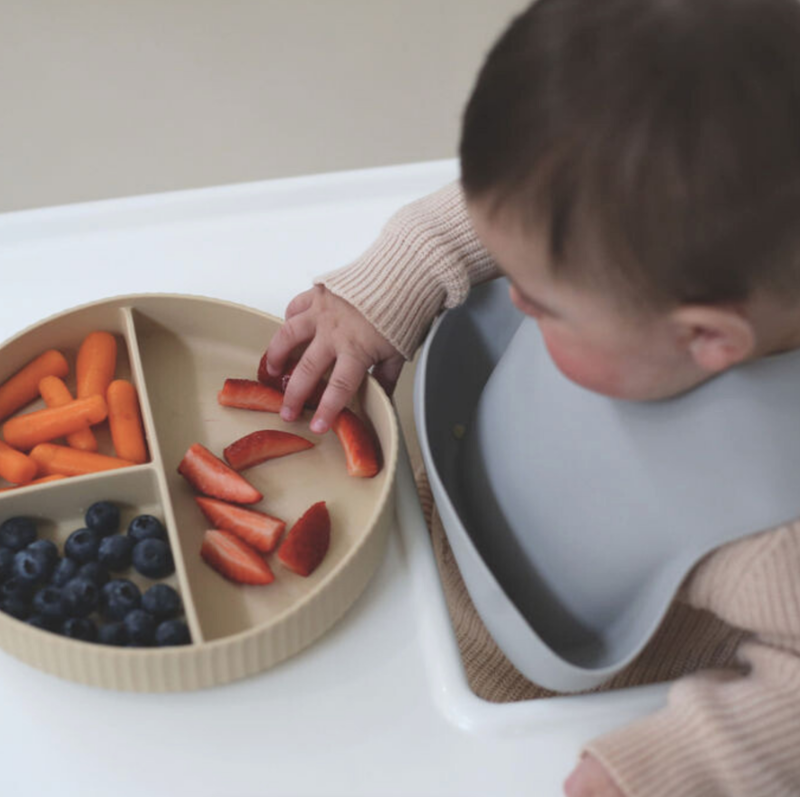 Echo Baby Silicone Suction Plate