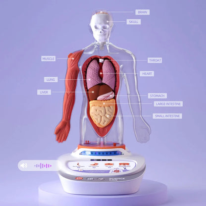 TopBright - My Body Voice Pedia Interactive Talking Anatomy Model for Kids