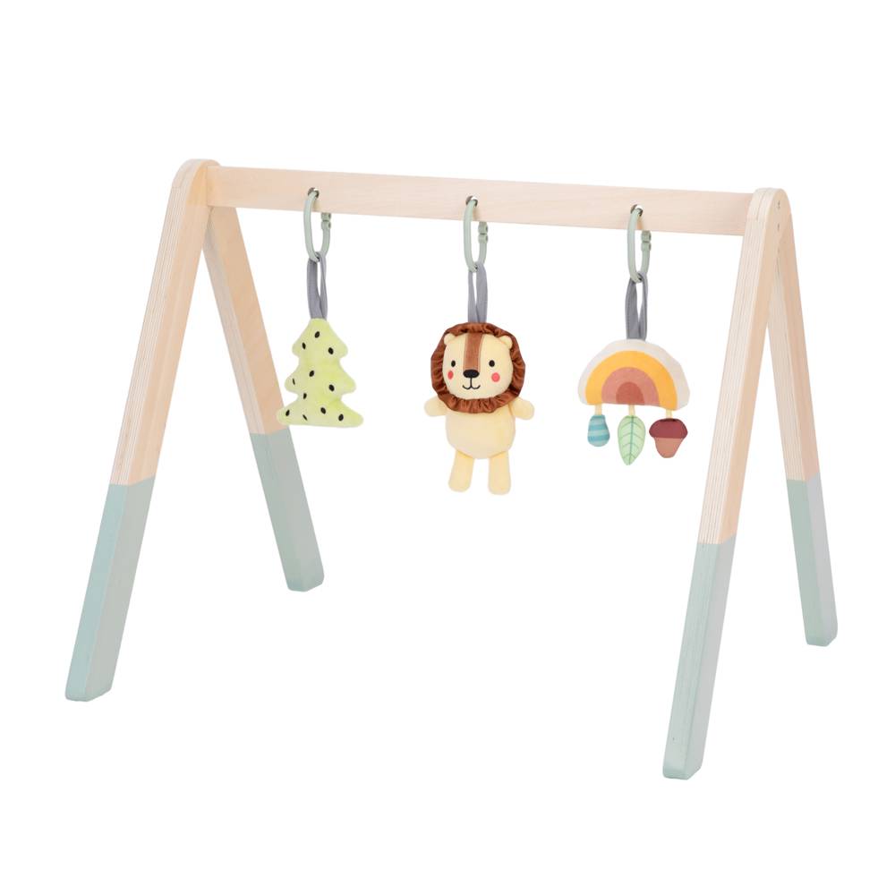 TookyToy - Portable Baby Gym & Mobile - Motherhood