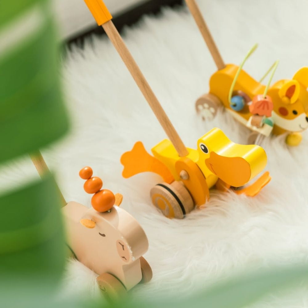 Classic World - Pull & Push Toy - Duck