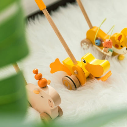 Classic World - Pull & Push Toy - Duck