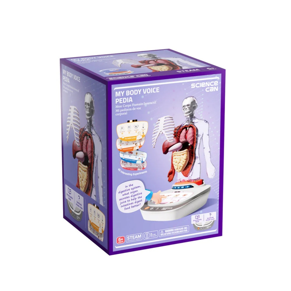 TopBright - My Body Voice Pedia Interactive Talking Anatomy Model for Kids