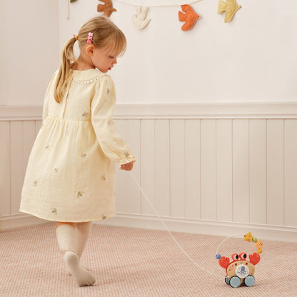 TookyToy - Wooden Pull Along Crab Bead Maze Toy