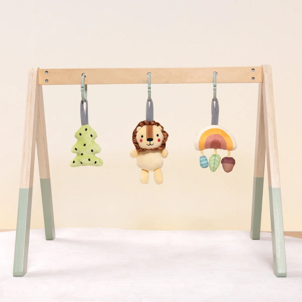 TookyToy - Portable Baby Gym & Mobile