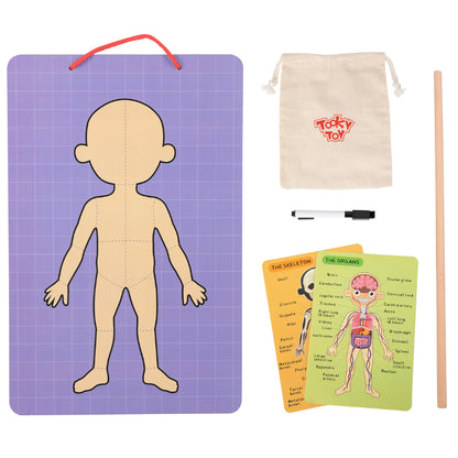 TookyToy - Body Magnetic Chart