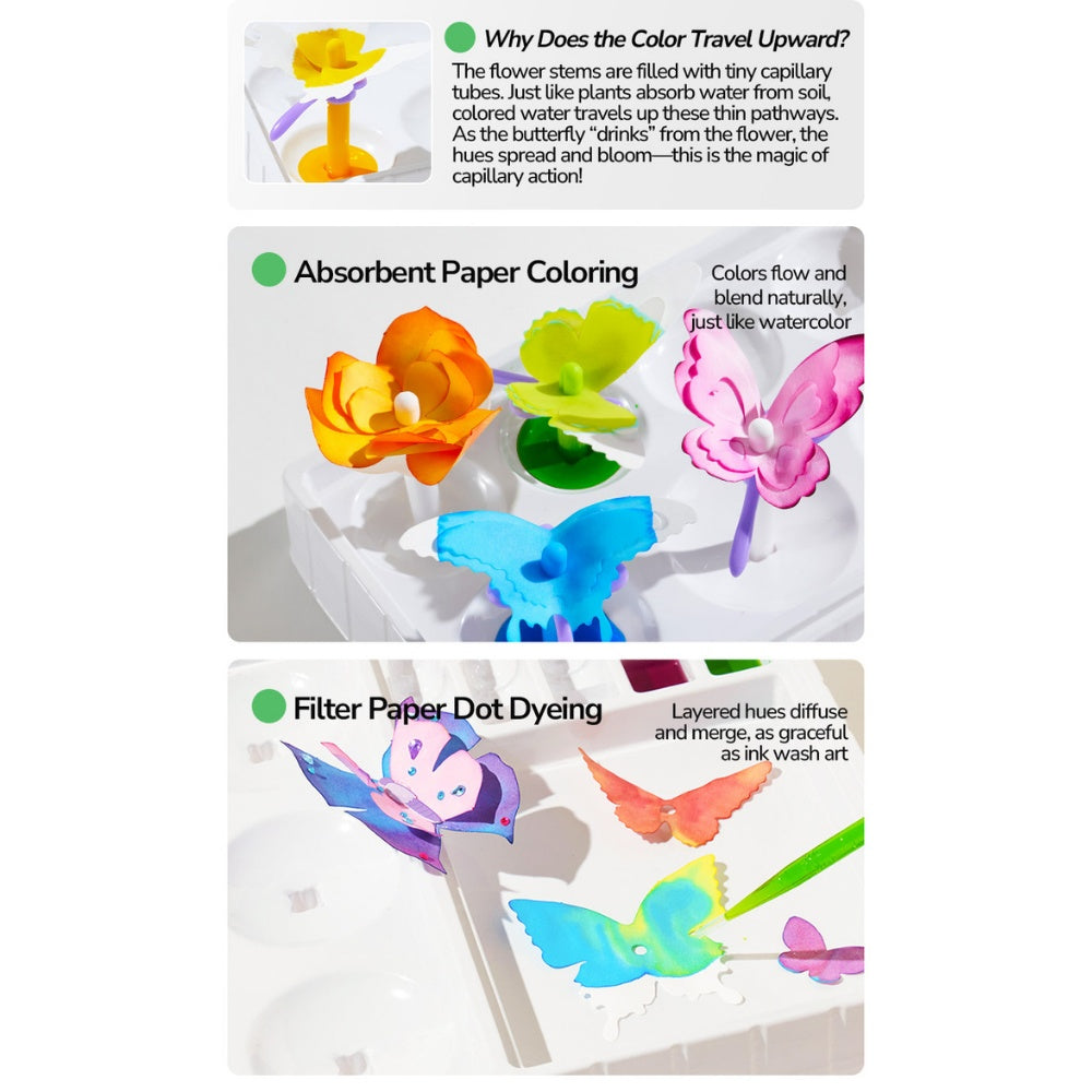Mideer - Paper Butterly Craft Kit - Creative Arts & Crafts Set