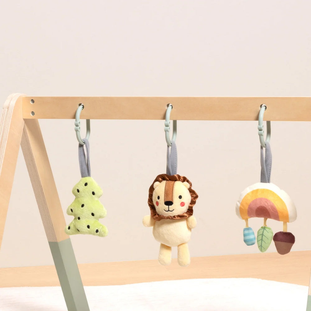 TookyToy - Portable Baby Gym & Mobile