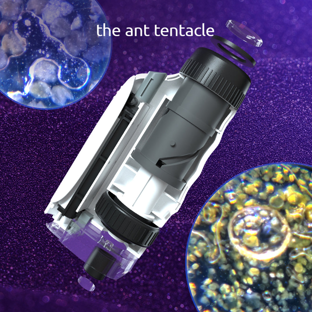 TopBright - 3 In 1 Darwin Portable