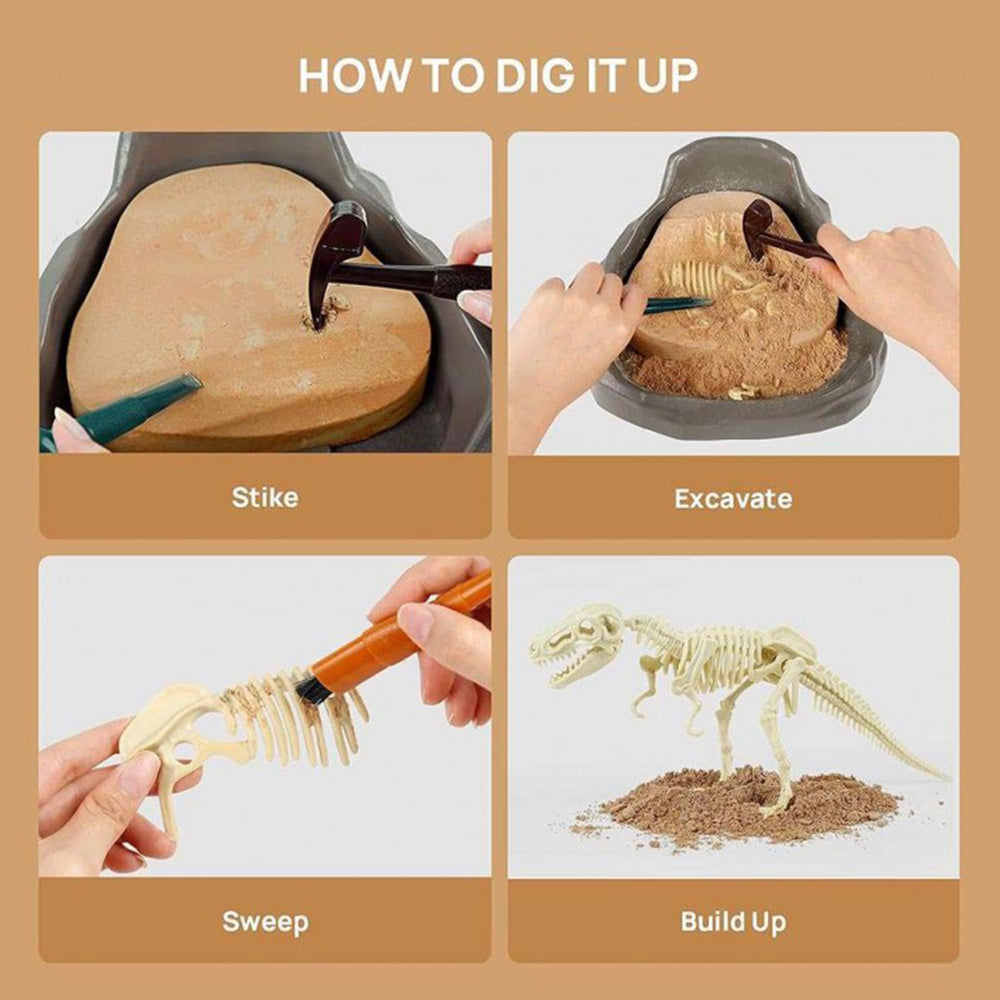 TopBright - Dinosaur Fossil Dig Kit - Mesozoic