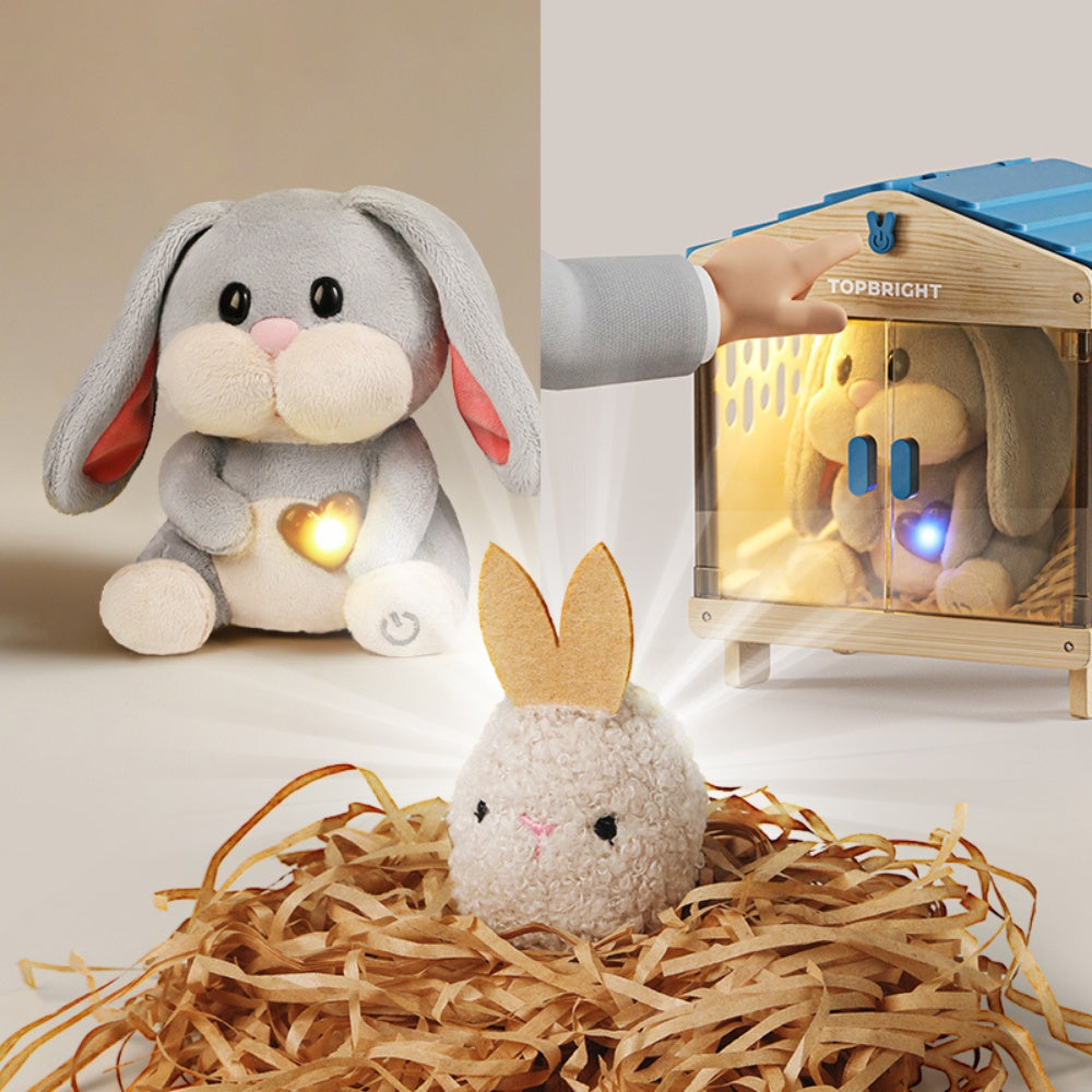 TopBright - Pretend Play Pet Care Kit - Interactive Bunny with Sound & Lights