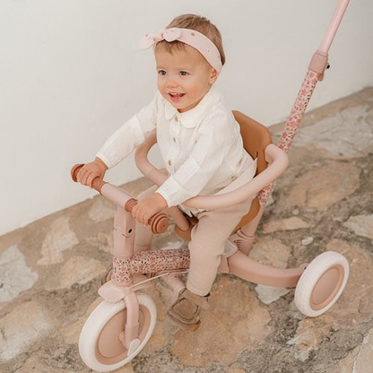 Little Dutch Tricycle With Push Bar