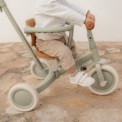 Little Dutch Tricycle With Push Bar