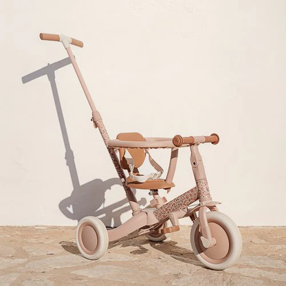 Little Dutch Tricycle With Push Bar