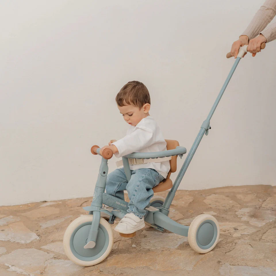 Little Dutch Tricycle With Push Bar