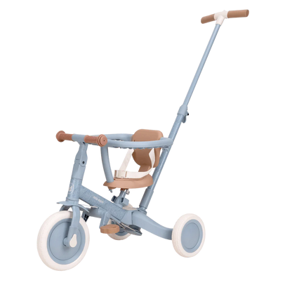 Little Dutch Tricycle With Push Bar