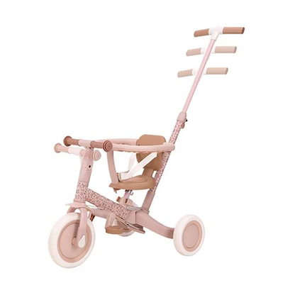 Little Dutch Tricycle With Push Bar