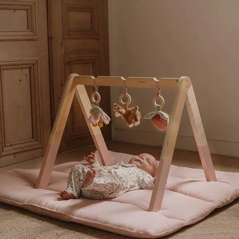 Little Dutch Baby Gym