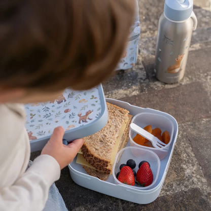 Little Dutch Bento Lunch Box Campus