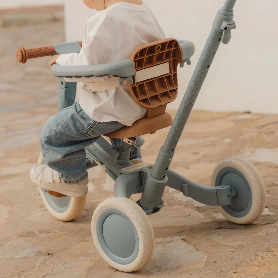 Little Dutch Tricycle With Push Bar