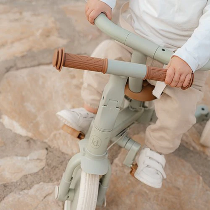 Little Dutch Tricycle With Push Bar