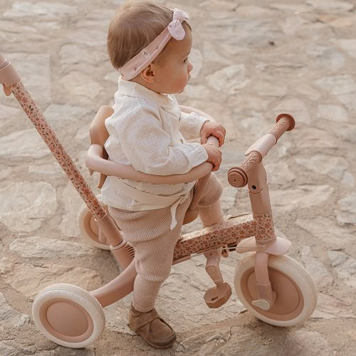 Little Dutch Tricycle With Push Bar