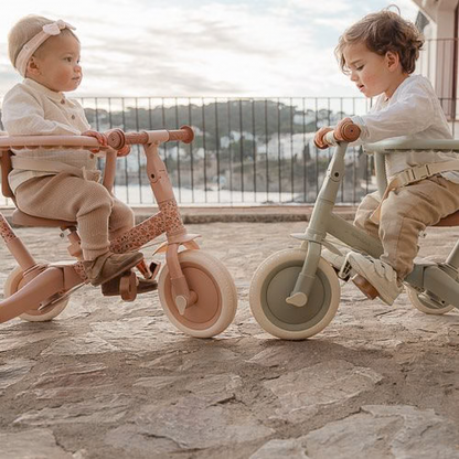 Little Dutch Tricycle With Push Bar