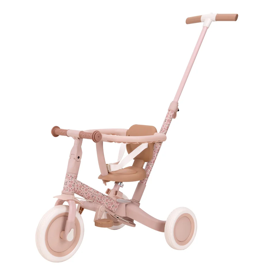 Little Dutch Tricycle With Push Bar